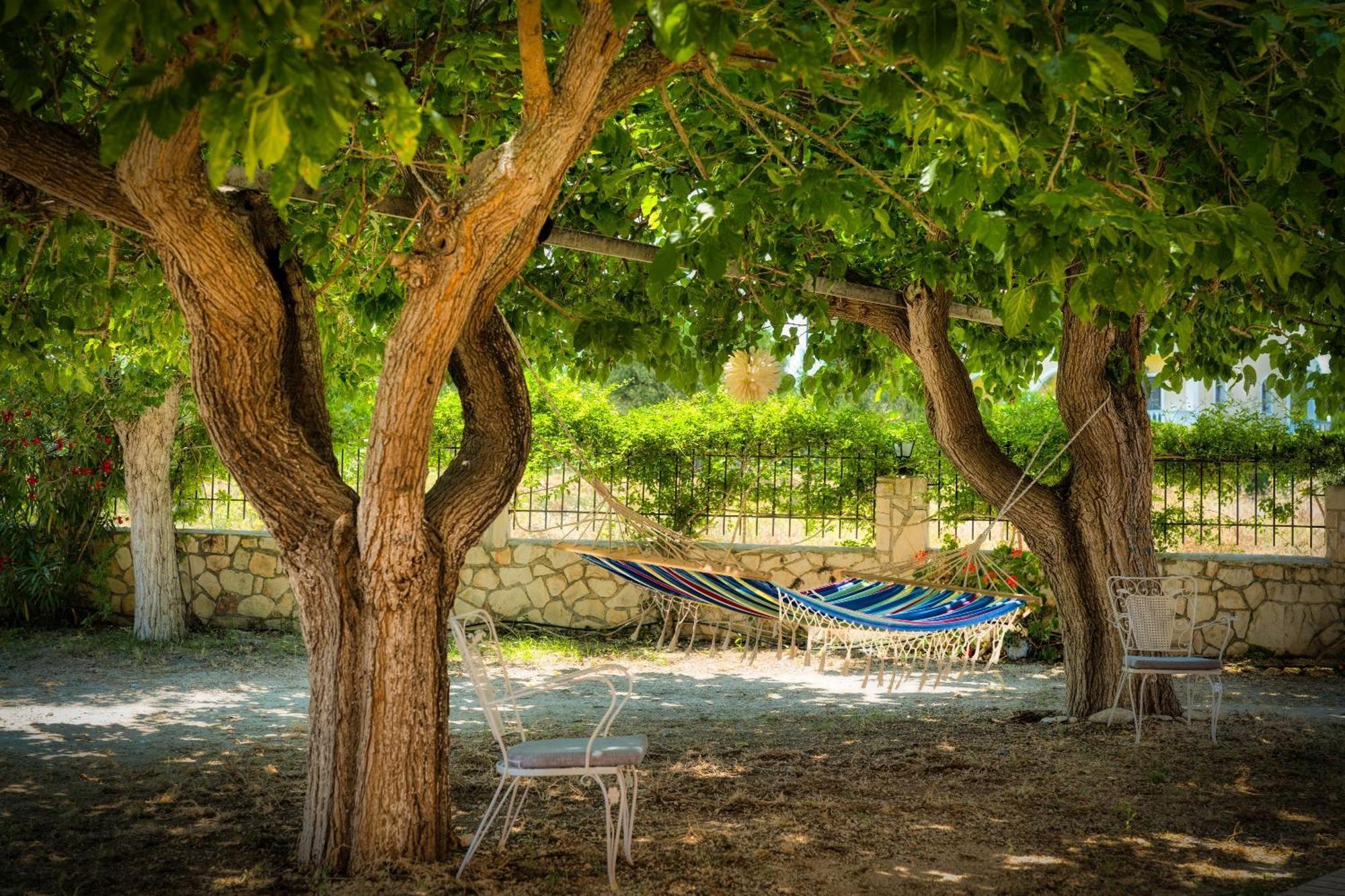 St. Harry'S Windmill Daire Makris Gialos  Dış mekan fotoğraf